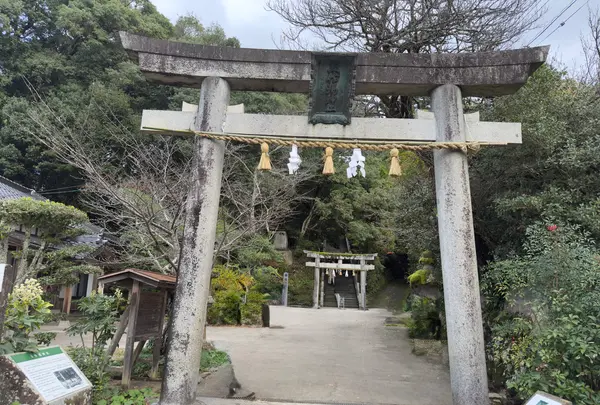 玉作湯神社の写真・動画_image_729713