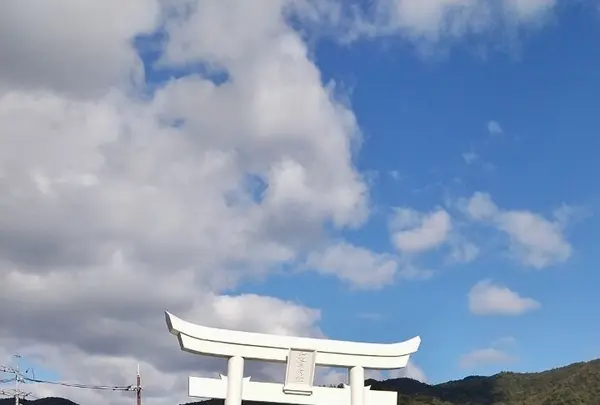 出雲大社大鳥居の写真・動画_image_729730