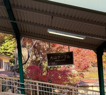 大山ケーブルカーの写真・動画_image_729973