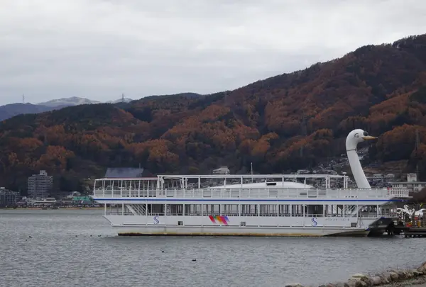 諏訪湖遊覧船・諏訪湖観光汽船の写真・動画_image_731101
