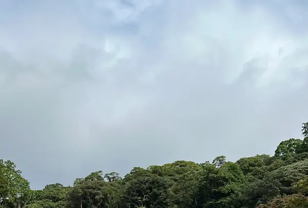 霧島神宮の写真・動画_image_731120