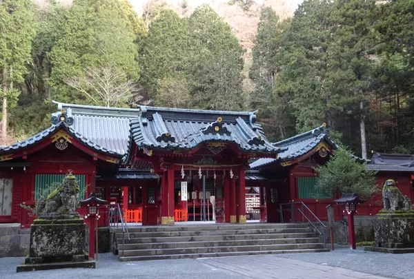 箱根神社の写真・動画_image_731748