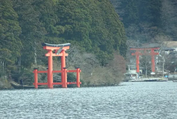 箱根神社の写真・動画_image_731749