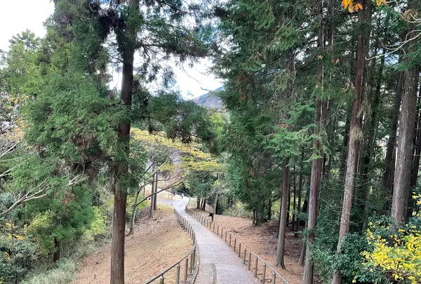 県立あいかわ公園の写真・動画_image_731963