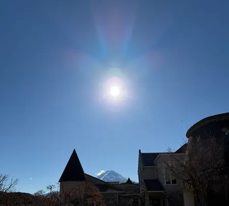 オルソンさんのいちごの写真・動画_image_733816
