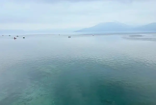 支笏湖の写真・動画_image_734055