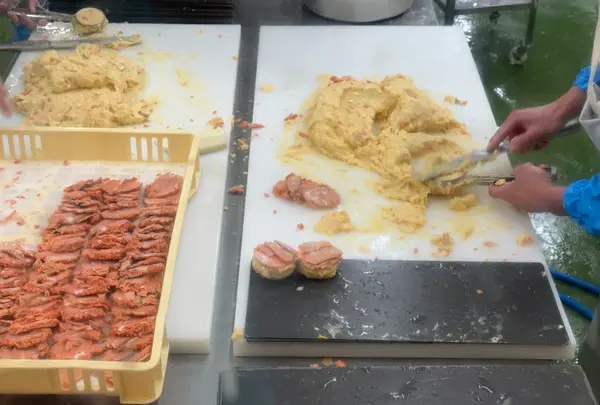 かま栄 工場直売店の写真・動画_image_734708
