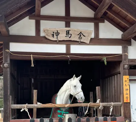 上賀茂神社（賀茂別雷神社）の写真・動画_image_735134