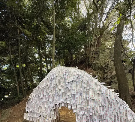 大甕神社（大甕倭文神社）の写真・動画_image_736214