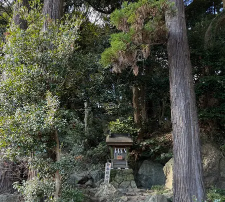 大甕神社（大甕倭文神社）の写真・動画_image_736217
