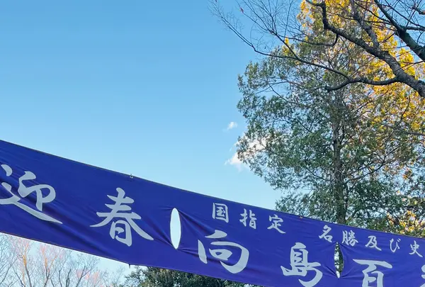 向島百花園の写真・動画_image_737750