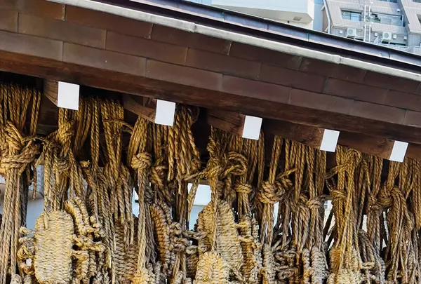 東覚寺の写真・動画_image_738402