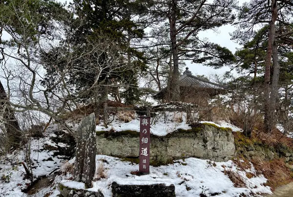 雄島の写真・動画_image_738588