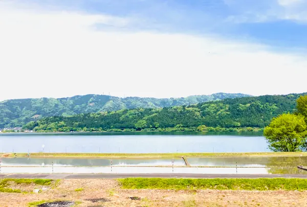 余呉湖の写真・動画_image_739846