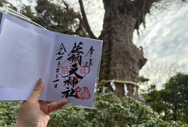 荏柄天神社の写真・動画_image_739982