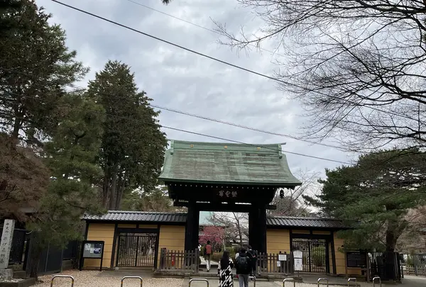 豪徳寺の写真・動画_image_745940