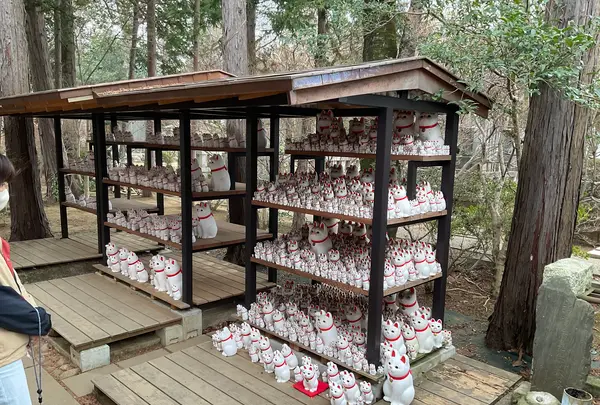 豪徳寺の写真・動画_image_745942