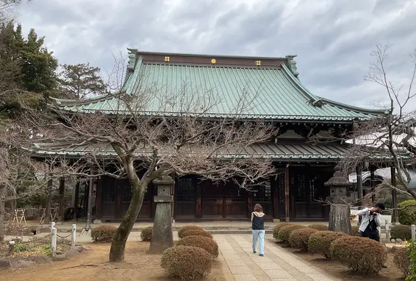 豪徳寺の写真・動画_image_745943
