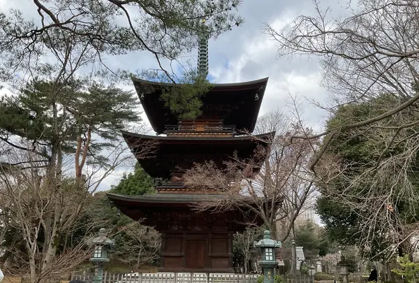 豪徳寺の写真・動画_image_745945
