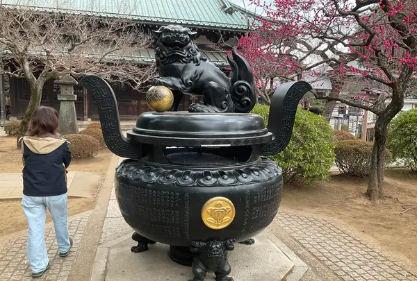 豪徳寺の写真・動画_image_745955