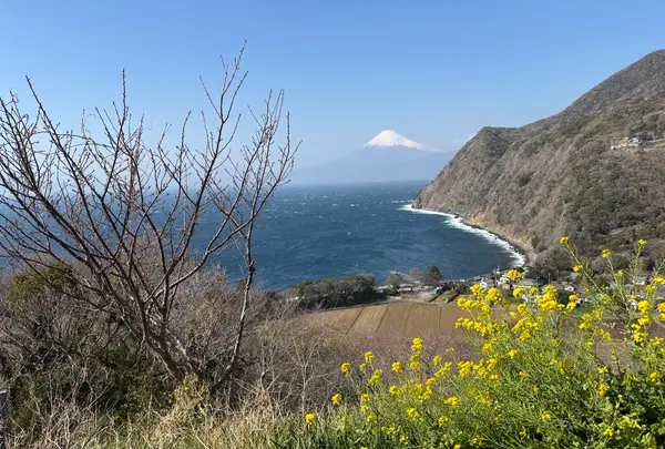 煌めきの丘の写真・動画_image_749247