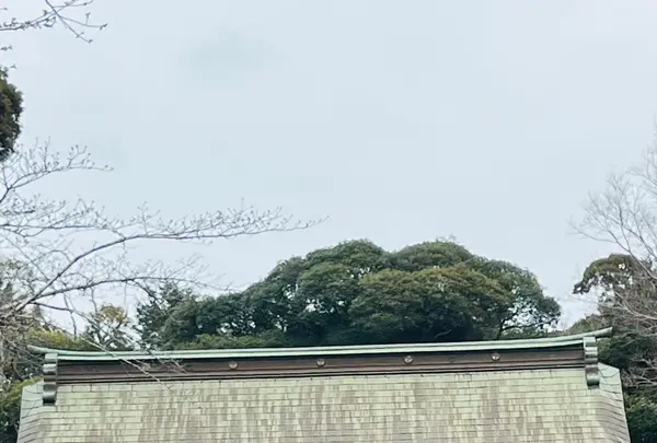 息栖神社の写真・動画_image_749648