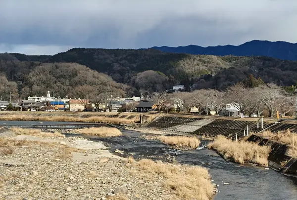 若葉の写真・動画_image_751945