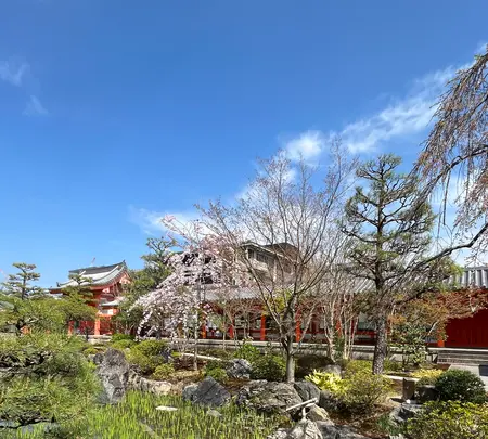 蓮華王院 三十三間堂の写真・動画_image_752697