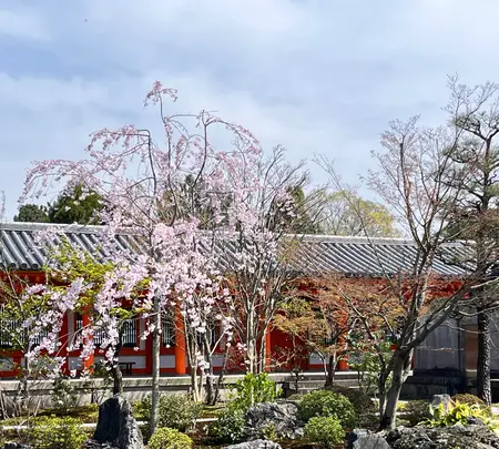 蓮華王院 三十三間堂の写真・動画_image_752698