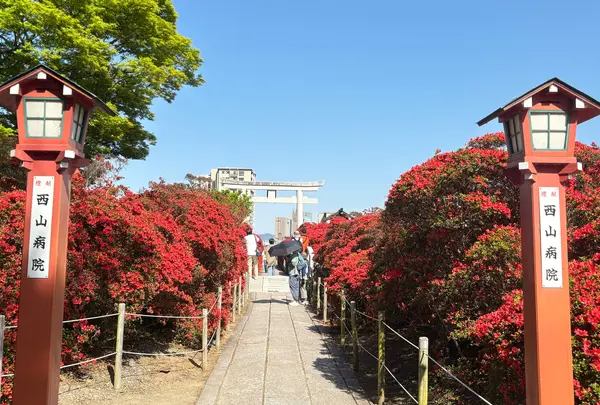 長岡天満宮の写真・動画_image_754759