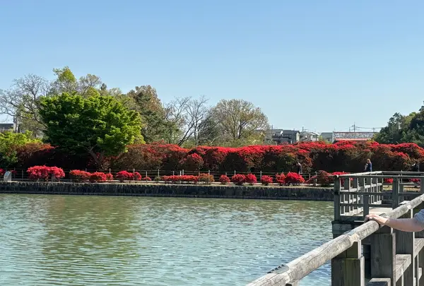 長岡天満宮の写真・動画_image_754760