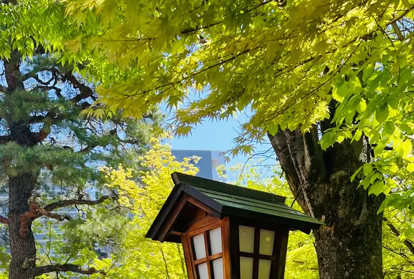 四柱神社の写真・動画_image_755812