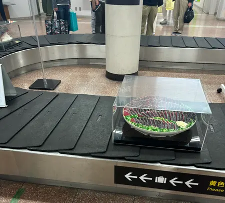 高知空港（高知龍馬空港）の写真・動画_image_756772