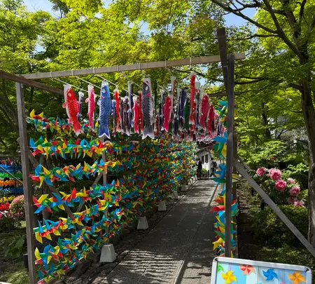 宝徳寺の写真・動画_image_756844