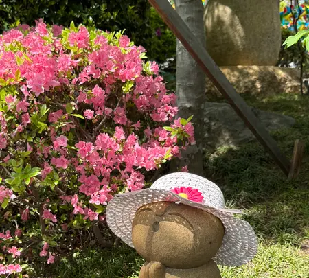 宝徳寺の写真・動画_image_756846