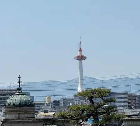 東京国立博物館の写真・動画_image_758479