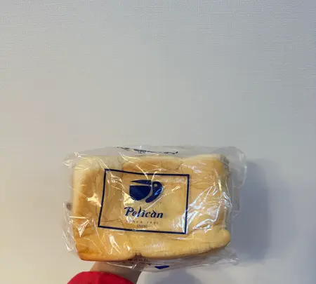 パンのペリカンの写真・動画_image_760225
