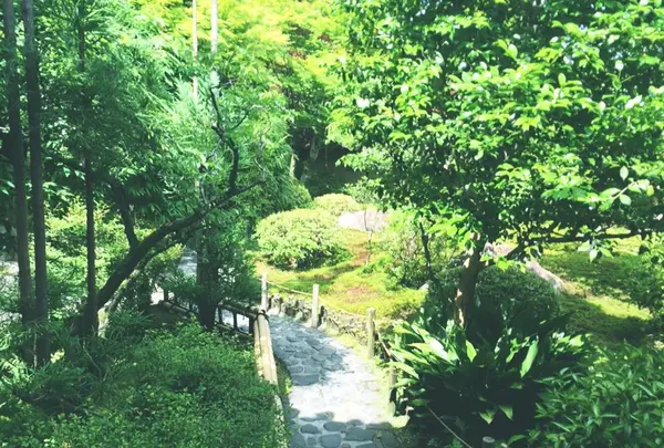鈴虫寺（華厳寺）の写真・動画_image_80284