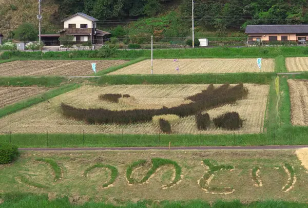 シルク温泉　やまびこの写真・動画_image_80519