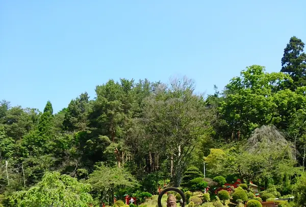 榊山稲荷神社の写真・動画_image_81319