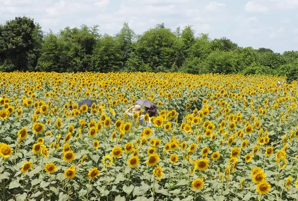 座間 座架依橋の写真・動画_image_81421
