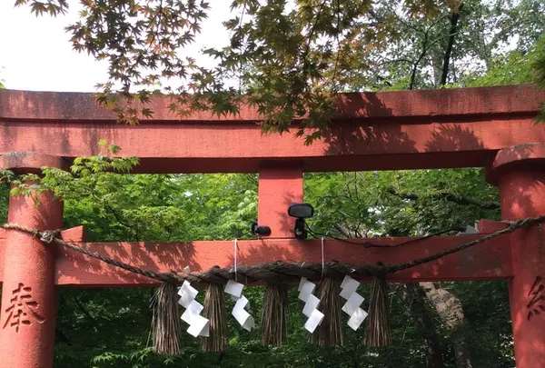 榊山稲荷神社の写真・動画_image_81925