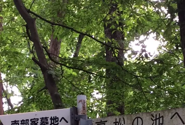 聖寿禅寺の写真・動画_image_81930