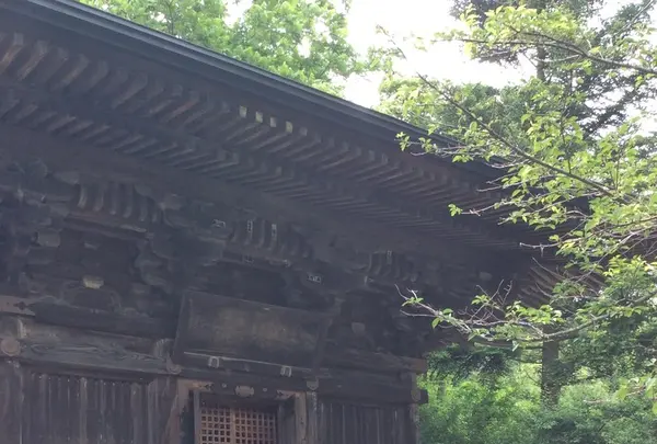 聖寿禅寺の写真・動画_image_81934