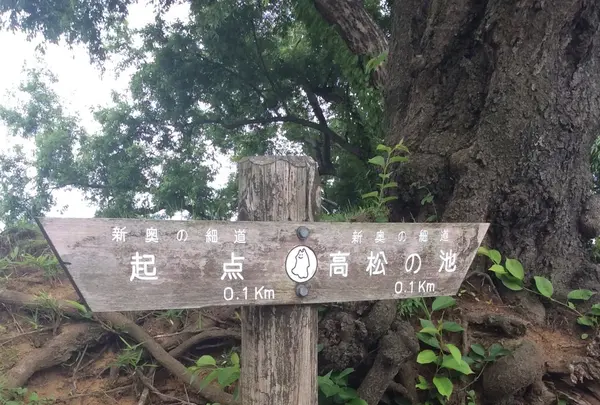 聖寿禅寺の写真・動画_image_81939