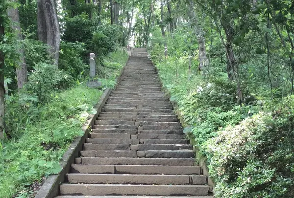 聖寿禅寺の写真・動画_image_82132