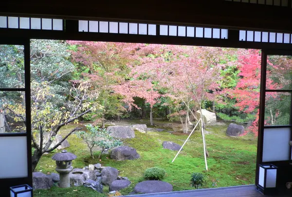 勝林寺の写真・動画_image_83587