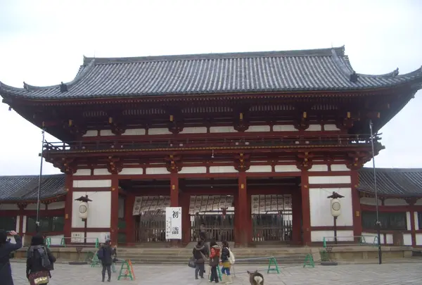 東大寺の写真・動画_image_85013