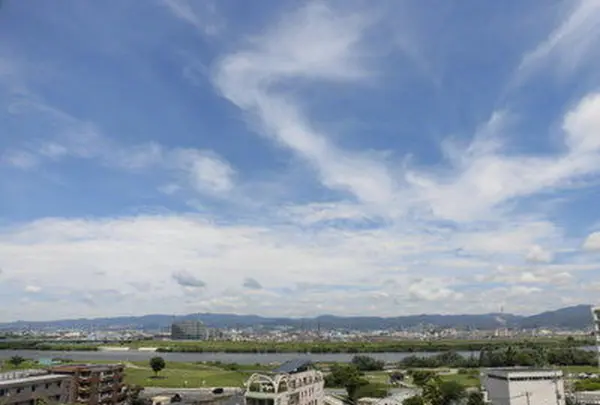御茶屋御殿跡の写真・動画_image_85312