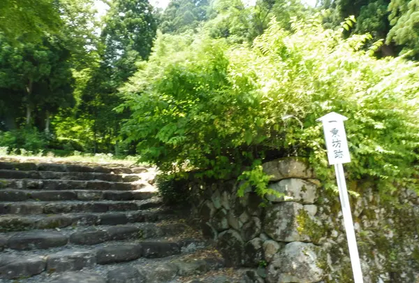 長滝白山神社の写真・動画_image_86271